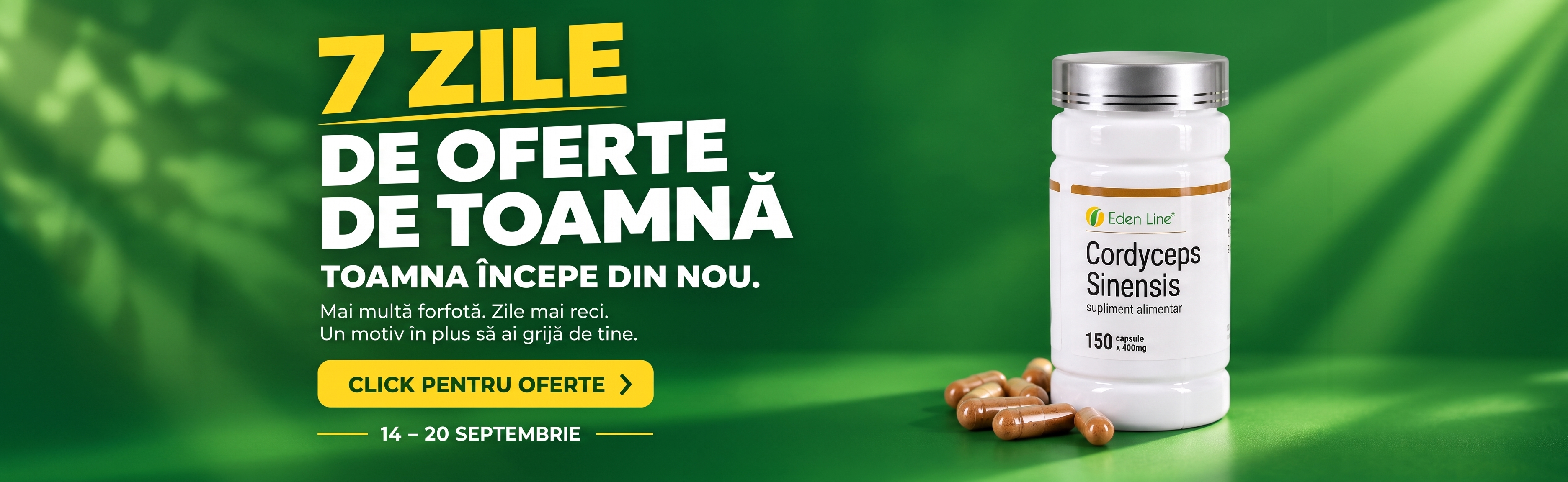 Oferta toamna 2026
